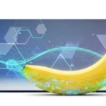 गूगल का नया AI टूल ‘Nano Banana’: जानें इसकी खासियतें और उपयोग