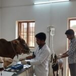 भारत ने जारी किए पशु रक्त बैंकों के लिए पहली बार दिशानिर्देश