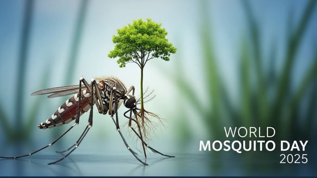 World Mosquito Day 2025: डेंगू और मलेरिया से बचने के जरूरी उपाय