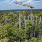 अमेज़न वर्षावन में भविष्य की जलवायु का परीक्षण