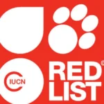 भारत 2025 IUCN कांग्रेस में अपनी पहली ‘रेड लिस्ट ऑफ स्पीशीज़’ जारी करेगा