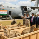 भारत को बोत्सवाना से 8 चीते मिलेंगे – Project Cheetah के पुनरुद्धार में एक बड़ा कदम