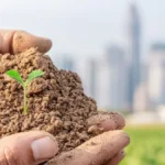 World Soil Day 2025: विश्व मृदा दिवस क्यों मनाया जाता है?