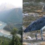 कलाई-II हाइड्रोपावर प्रोजेक्ट को मंज़ूरी, पूर्वोत्तर में स्वच्छ ऊर्जा को मिलेगा बढ़ावा