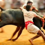 तमिलनाडु के थाचनकुरिची में कार्यक्रम के साथ जल्लीकट्टू 2026 की शुरुआत: