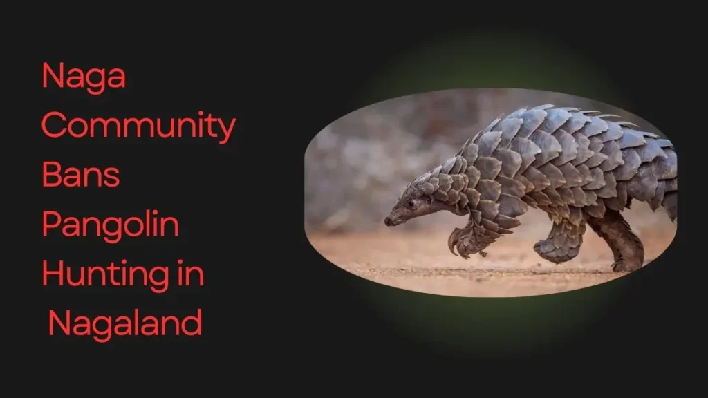 नागालैंड में नागा समुदाय का ऐतिहासिक फैसला