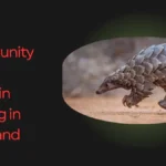 नागालैंड में नागा समुदाय का ऐतिहासिक फैसला