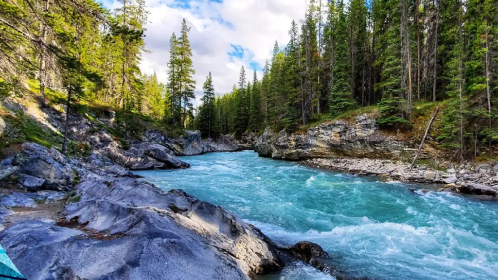 भारत में “सबसे अधिक नदियाँ किस राज्य में हैं”