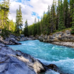 भारत में “सबसे अधिक नदियाँ किस राज्य में हैं”